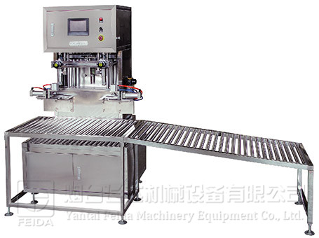 雙頭軟包裝食用油灌裝機(jī)