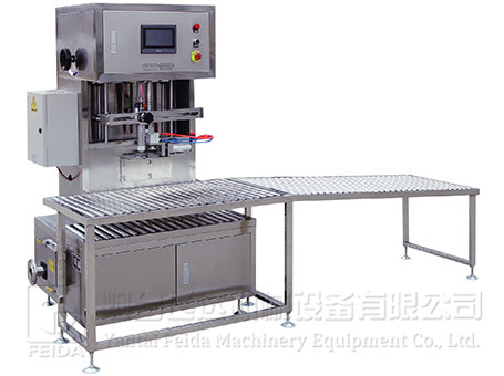 單頭軟包裝食用油灌裝機(jī)